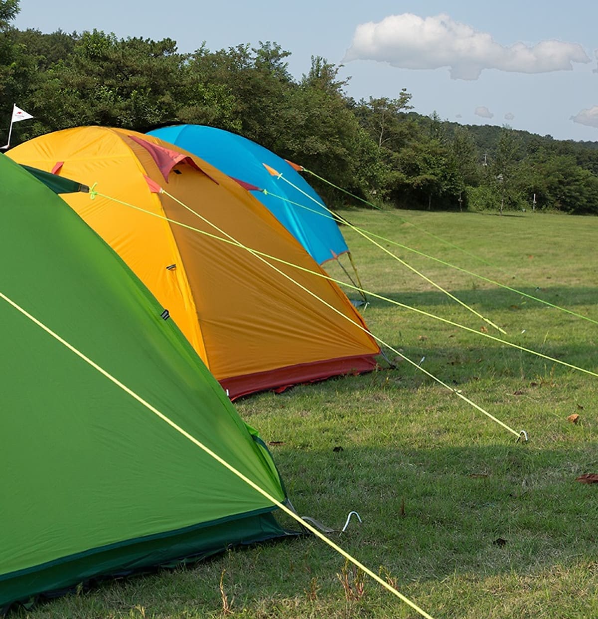 Naturehike Reflective tent rope set 4*4m - Green